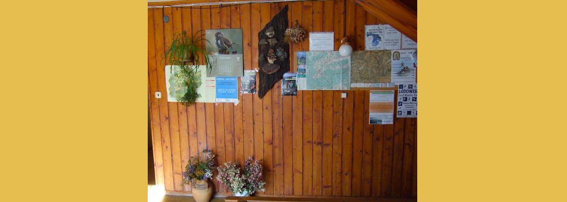 Zawoja-Chata-pod-Kwiatkiem